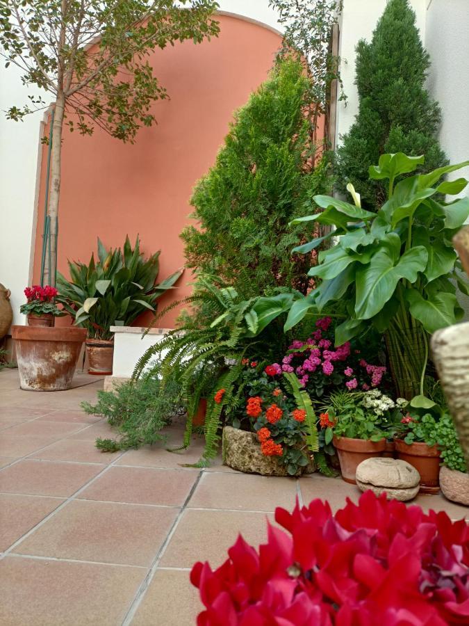 Ferienwohnung Ziza Córdoba Exterior foto